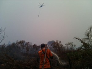 Pekanbaru Dikepung Asap, Ini Penampakan Lahan Terbakar di Riau