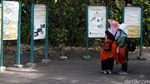 Napak Tilas 133 Tahun Meletusnya Krakatau