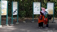 Festival ini bertujuan untuk mempromosikan pariwisata dan budaya, serta memperingati peristiwa meletusnya Gunung Krakatau pada tahun 1883.