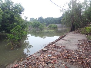 Kadis Tata Air DKI: 6 Tembok di Perumahan Jebol Sebabkan Banjir di Kemang