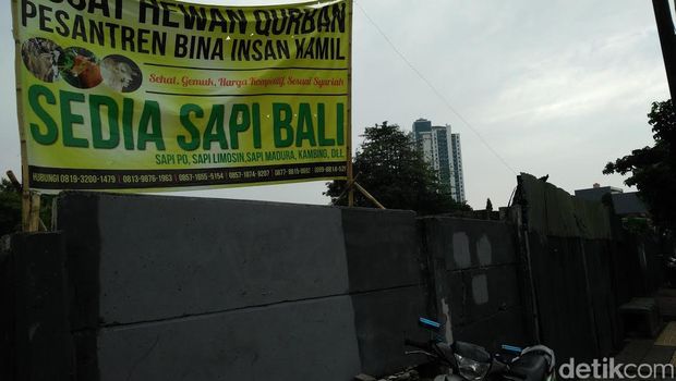 Jelang Idul Adha, Pedagang Hewan Kurban Mulai Menjamur di 