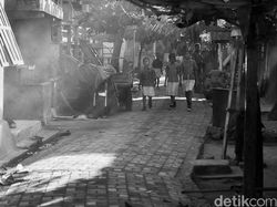 Berburu Komodo dengan Senjata Fuji X-T2