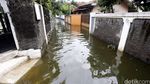 Banjir Rendam Puluhan Rumah di Ciracas