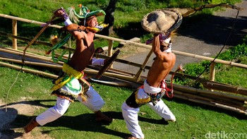 Tari Caci, yang dimainkan saat syukuran musim panen dan ritual tahun baru, upacara pembukaan lahan, atau upacara adat besar lainnya. Tarian ini bisa juga dipentaskan untuk menyambut tamu penting.  Foto: detikINET - Anggoro Suryo Jati