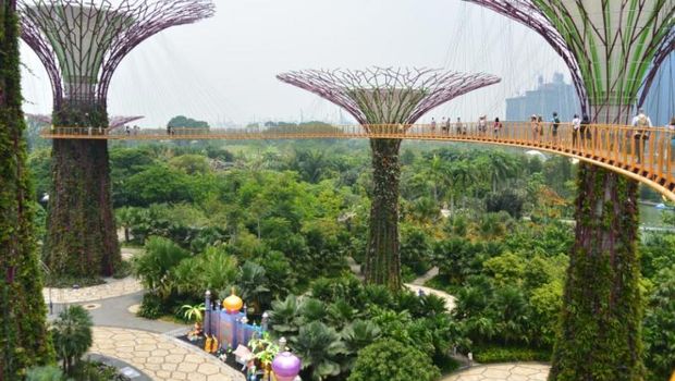 Tempat terbaik menikmati hijaunya Singapura
