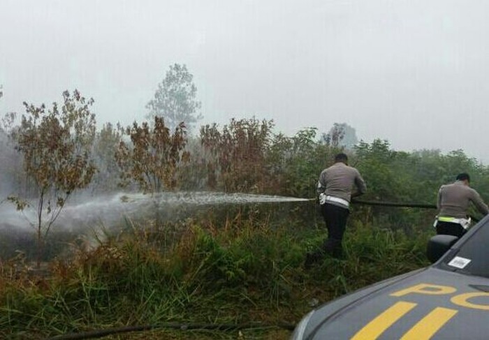 Polisi Berjibaku Padamkan Kebakaran Lahan Gambut di Kampar