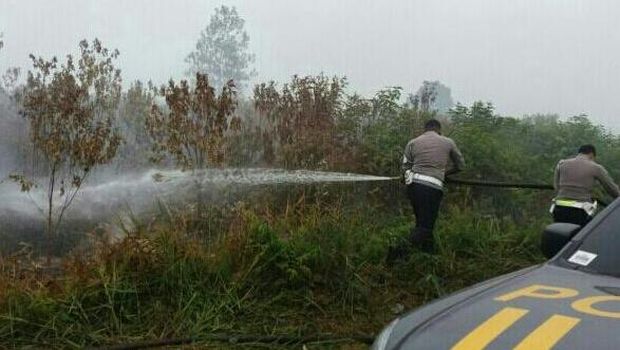Begini 'Kesaktian' Pasal Penjerat Pembakar Hutan yang Digugat ke MK