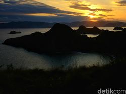 Berburu Komodo dengan Senjata Fuji X-T2