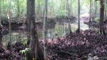 Danau Udang Merah yang Cantik & Dikeramatkan
