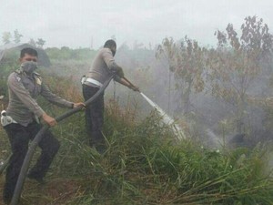 Persiapan KLHK Harus Matang untuk Tindak Pelaku Pembakar Hutan dan Lahan