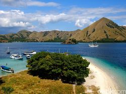 Berburu Komodo dengan Senjata Fuji X-T2