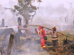 Rembetan Kebakaran Lahan, 30 Barak Pekerja di Riau Ludes Terbakar