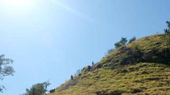 Bukit di Pulau Kelor jadi tujuan pertama photo trip ini, peserta mendaki bukit ini agar bisa mendapat pemandangan yang lebih bagus. Foto: detikINET - Anggoro Suryo Jati