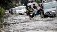 Tidak hanya mobil, motor pun juga nekat menerobos banjir.