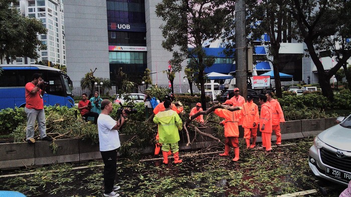Hujan Deras, Pohon Tumbang di Jl HR Rasuna Said Arah Dukuh Atas