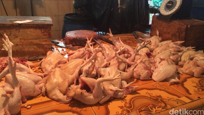 Mulai Turun, Harga Ayam ke Kisaran Rp 33.000/Ekor