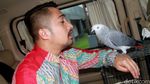 Irfan Hakim dan Burung Kesayangannya