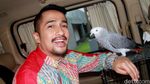 Irfan Hakim dan Burung Kesayangannya