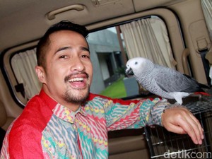 Corona Buat Dunia Usaha Jatuh-Bangun, Irfan Hakim Putar Otak