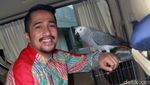 Irfan Hakim dan Burung Kesayangannya