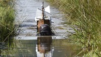 Peserta tak hanya warga Wales. Tapi banyak juga turis mancanegara yang ikut serta, seperti dari Prancis, Belgia, Jepang, Selandia Baru hingga Afrika Selatan (Rebecca Naden/Reuters)