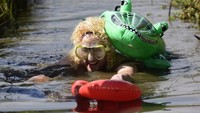Traveler yang liburan ke Llanwrtyd Wells, kota kecil di Wales sekitar bulan Agustus, bisa ikutan World Bog Snorkelling Championships. Ini merupakan lomba snorkeling di rawa berlumpur (Rebecca Naden/Reuters)