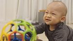 Gemes! Lucunya Putra Adi Nugroho dan Donita