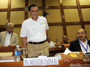 Luhut dan Ahok Batal Jumpa Pers Soal Keputusan Reklamasi Teluk Jakarta