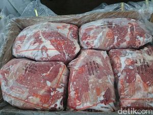 3 Alasan Bulog Tunda Impor Daging Kerbau India