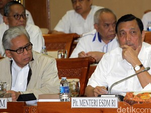 Begini Cara Luhut Batalkan Larangan Ekspor Mineral Mentah di 2017