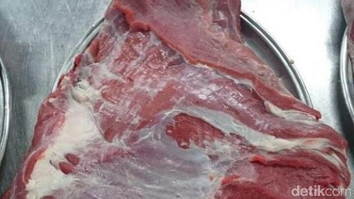 Ini Penampakan Daging Kerbau India yang Diimpor Bulog