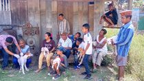 Begini Cara Pemerintah Tanggulangi Rabies di NTT Begini Cara Pemerintah Tanggulangi Rabies di NTT