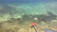 Pantai Nirwana juga punya perairan yang jernih. Sungguh asyik sekali terbang ke Bau-bau dengan melihat panorama cantik dari jendela pesawat (Afif/detikTravel)