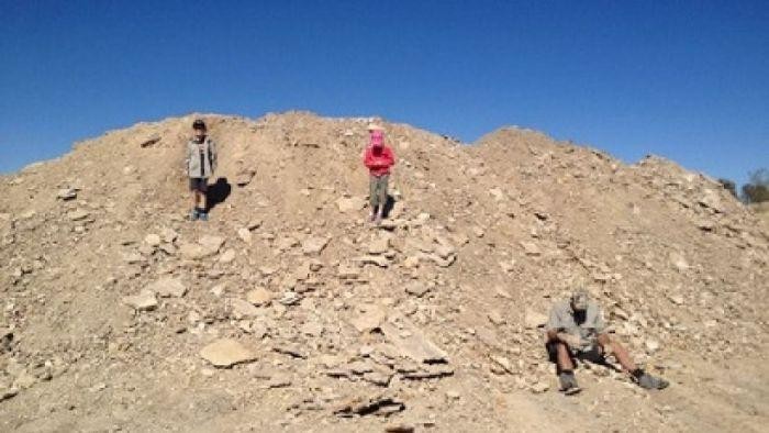 Kekeringan Picu Banyak Temuan Tulang Dinosaurus