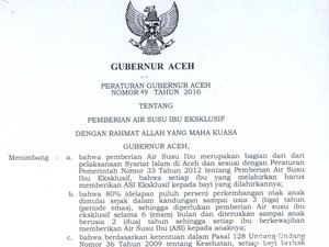 Ini Pergub Aceh soal Cuti Bersalin 6 Bulan bagi PNS yang Disentil JK
