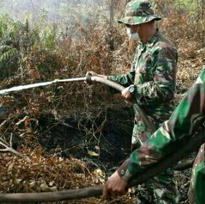 Mengintip TNI AD yang Lakukan Pendinginan Kebakaran Hutan di Riau