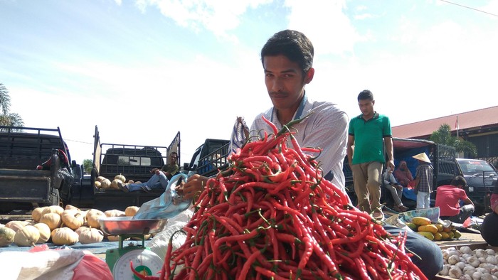 Harga Cabai di Pasar Rp 90.000/kg, Berapa di Tingkat Petani?