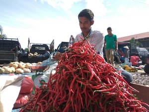 Harga Cabai RI Naik Turun, Bagaimana di Negara Lain?