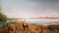 Museum ini juga memajang diorama kehidupan hewan liar yang berhabitat di benua Afrika, Asia, hingga Amerika Utara. Diorama ini terlihat sangat nyata, sehingga kita serasa berada di habitat asli hewan-hewan ini (Rachmatunnisa/detikTravel)