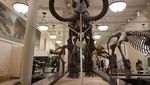Seperti Ini Museum yang Keren di Amerika