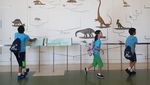 Seperti Ini Museum yang Keren di Amerika