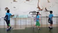 Anak-anak yang liburan ke museum ini memang seperti dimanjakan dengan aneka pengetahuan baru tentang dunia Dinosaurus. Mereka bisa belajar melalui diagram silsilah yang terpampang di dinding museum (Rachmatunnisa/detikTravel)