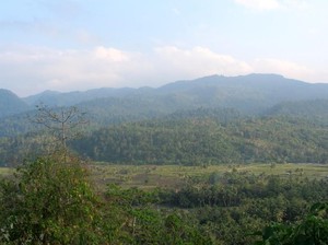 Lambusango, Hutannya Orang Inggris di Sulawesi Tenggara