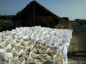 Mau Impor Garam, Darmin Tunggu Kepastian Stok Dalam Negeri