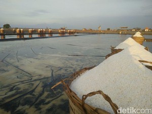 Izin Impor Garam Tak Keluar, Pabrik Mie Instan akan Setop Produksi