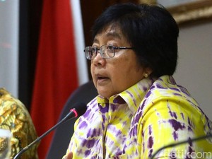 Fatwa MUI: Bakar Hutan dan Merusak Lingkungan adalah Haram!