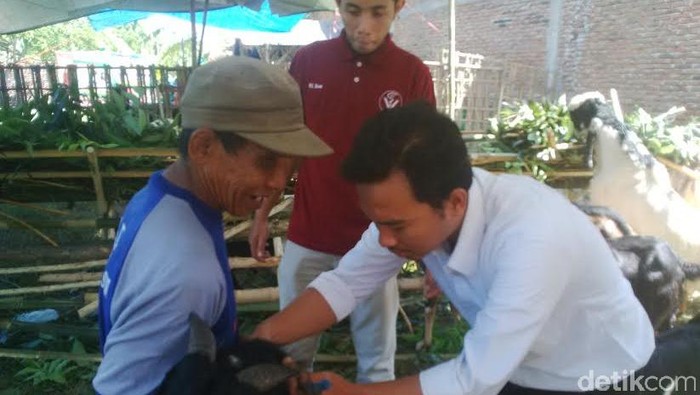 Disnak Banyuwangi Sidak Hewan Kurban di 24 Kecamatan