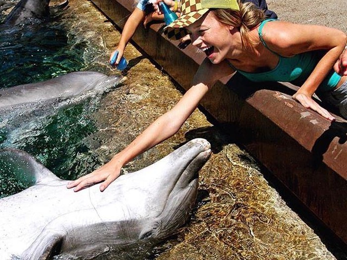 Dihujat karena Foto Lumba-lumba di Penangkaran, Brie Larson Minta Maaf