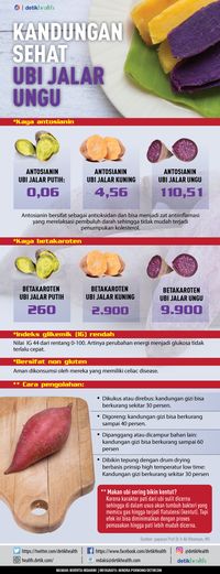 Infografis: Kandungan Sehat Ubi Ungu