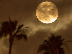 Bulan Punya Siapa